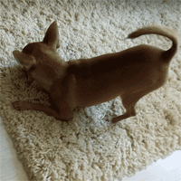 2.gif