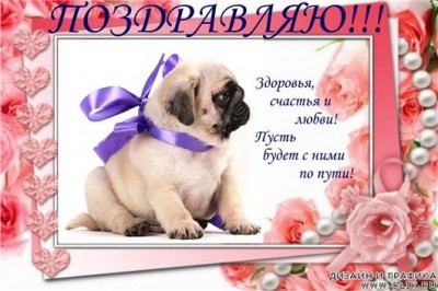 d5ae5ead-ab80-427e-9243-db64f7d795ff_1.jpg