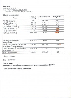 Общий анализ Найды.jpg