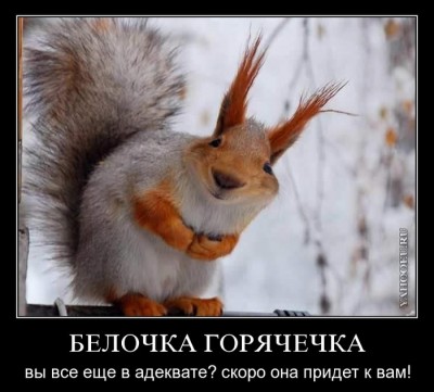 87ec74ec4e358a41b95a31587114576e.jpg