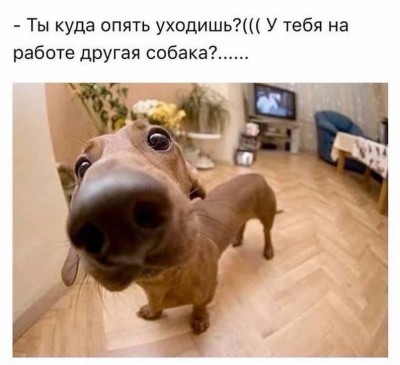 500.jpg