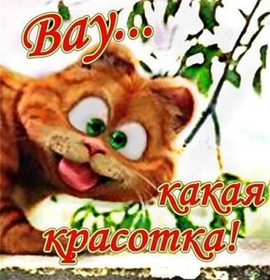 92539921e0c0.jpg