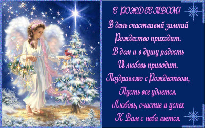 С РОЖДЕСТВОМ! Здоровья, счастья, любви вам вашим близким и конечно же нашим пушистикам с хвостиками!