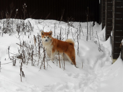 DSCN0629.jpg