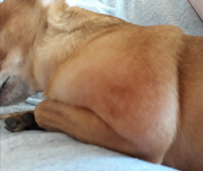 20180415_143401.jpg
