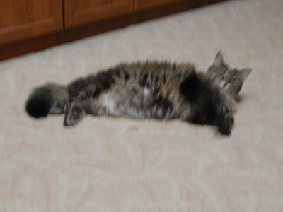 DSCN0587.JPG