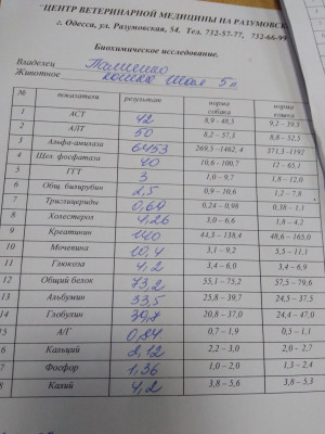 1529513299978..jpg
