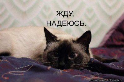 DPt21F2XkAAK3V9.jpg