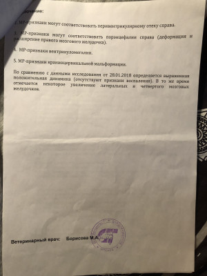 3C657DE2-C157-4478-8CD2-25FF6361155B.jpeg