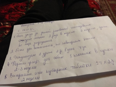 IMG_20210410_195608.jpg