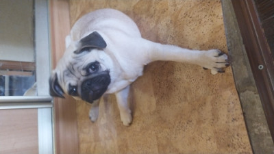 IMG-20210604-WA0011.jpeg