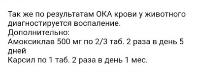 Вот наши анализы