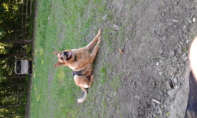 20150530_172917.jpg